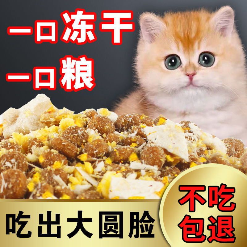 鲜肉猫粮宠物幼猫成猫通用大袋猫粮营养冻干鸡肉冻干主粮批发代发