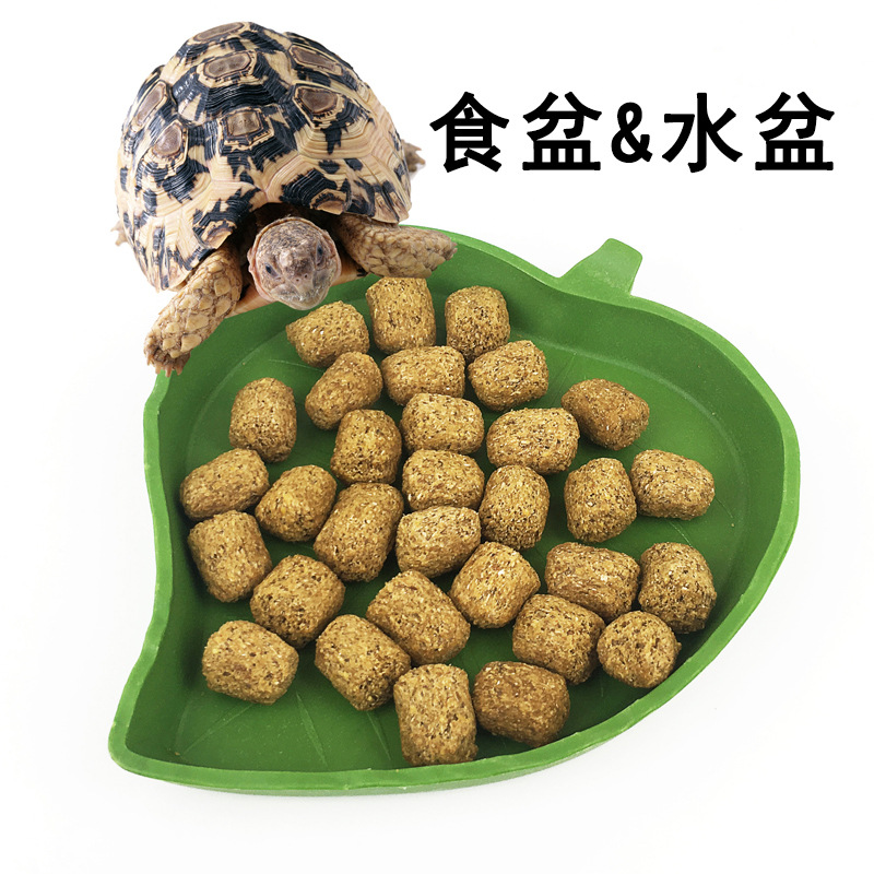 爬虫食盆水盆陆龟 守宫玉米蛇爬宠 喝水碗塑料用品绿色生态仿真